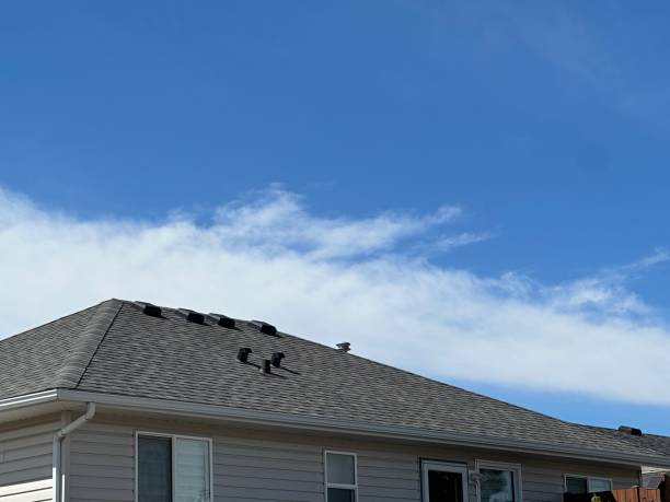 Skylights in Pine Prairie, LA